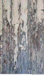 Photo Textures of Wood